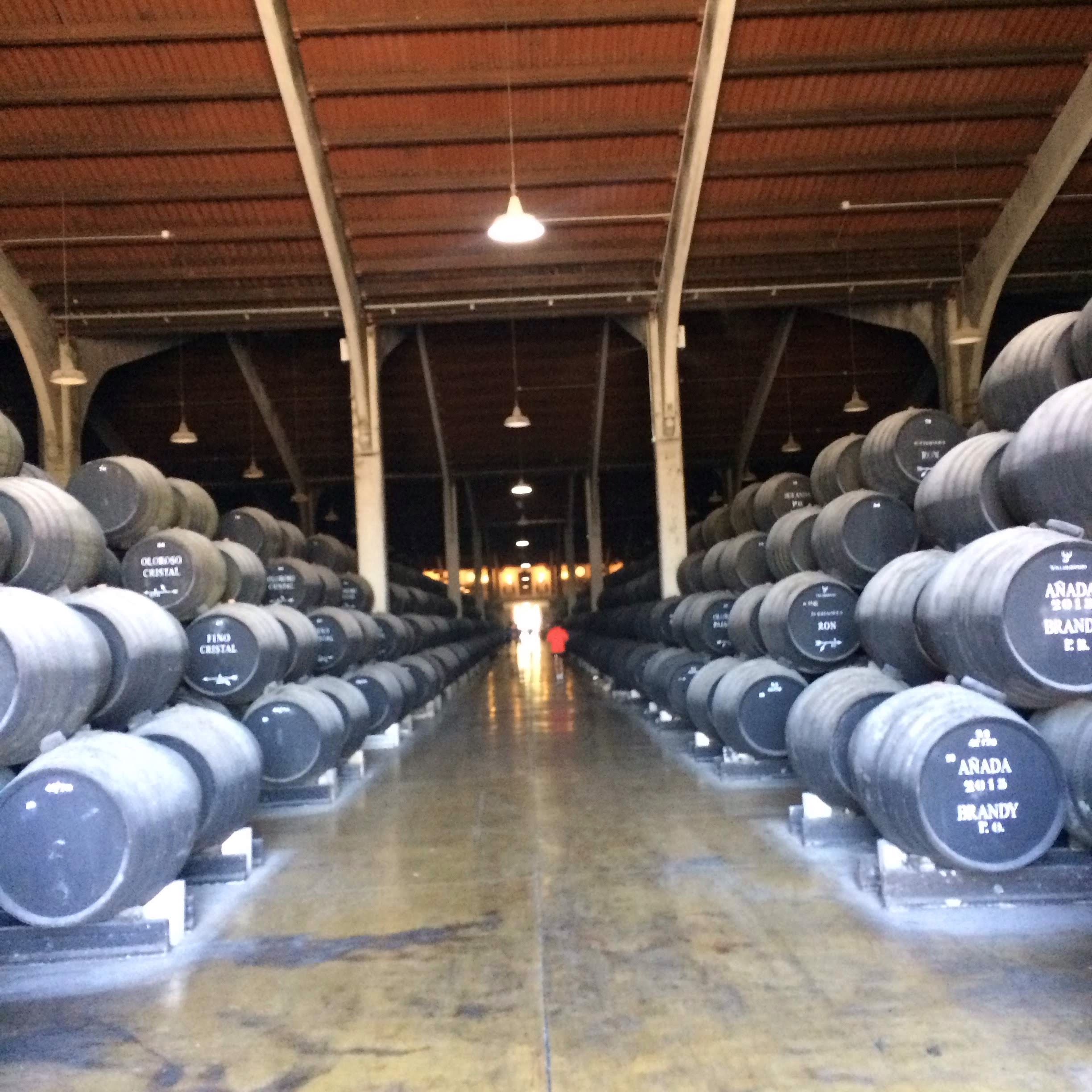 A runner running through a bodega in Jerez de la Frontera with casks of sherry each side of the pathway