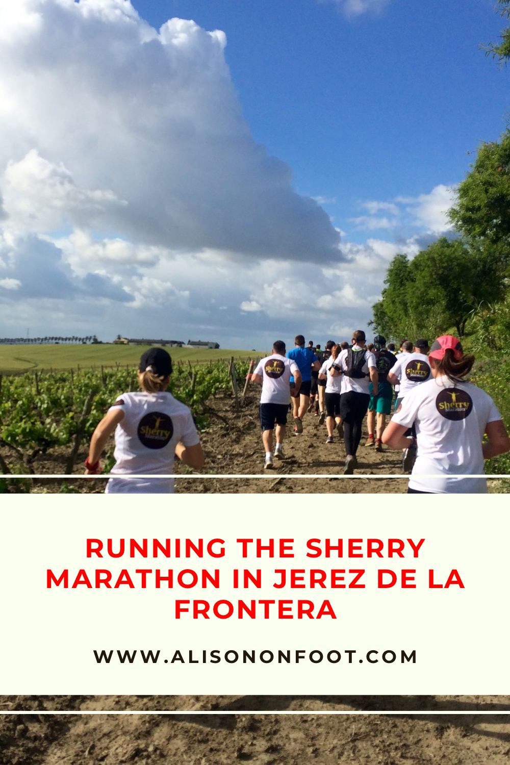 Everything you need to know about running the Sherry Marathon in Jerez de la Frontera, Andalucia, Spain