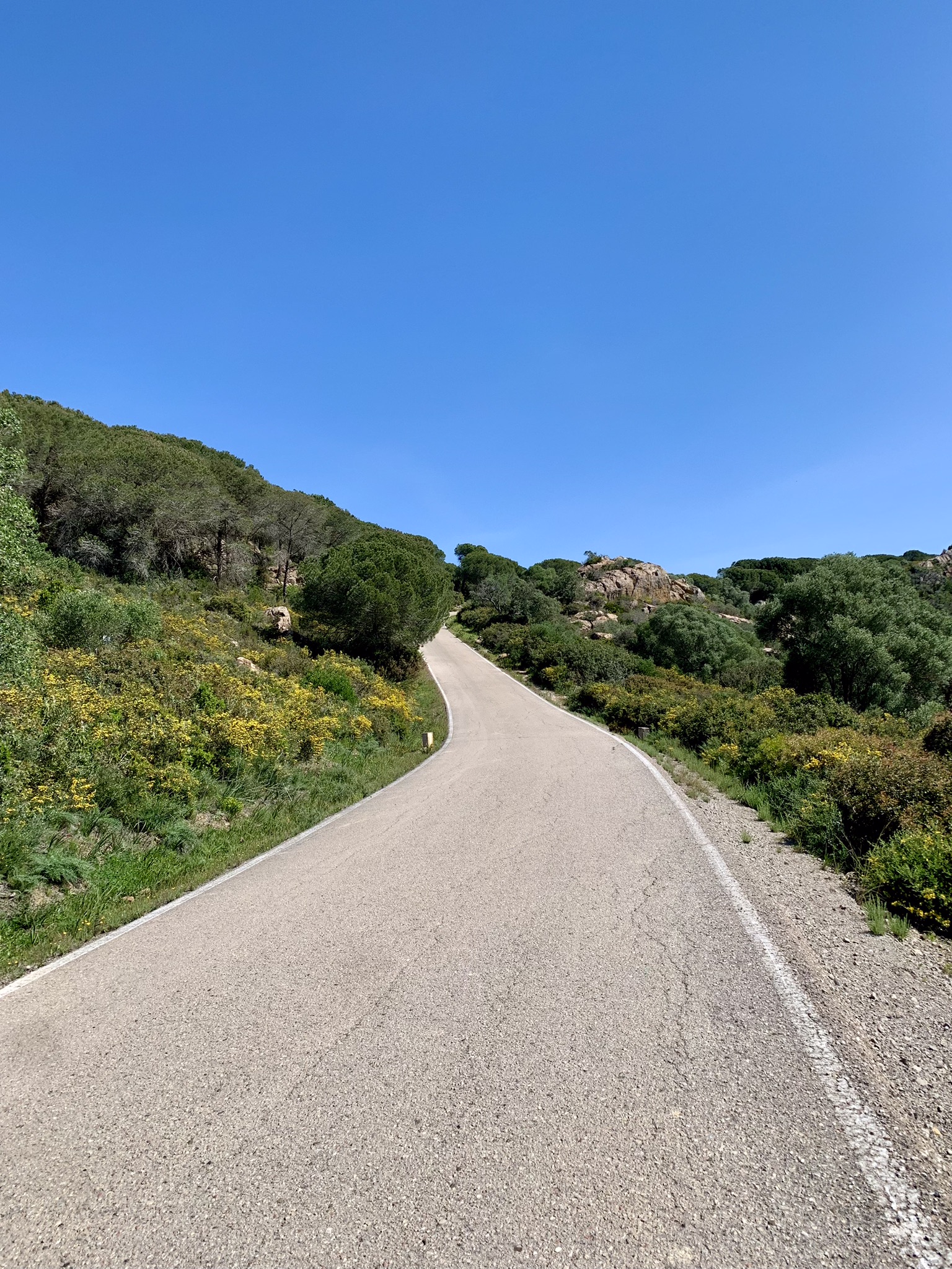 Uphill path between trees and rocky outcrops on the Via Serrana