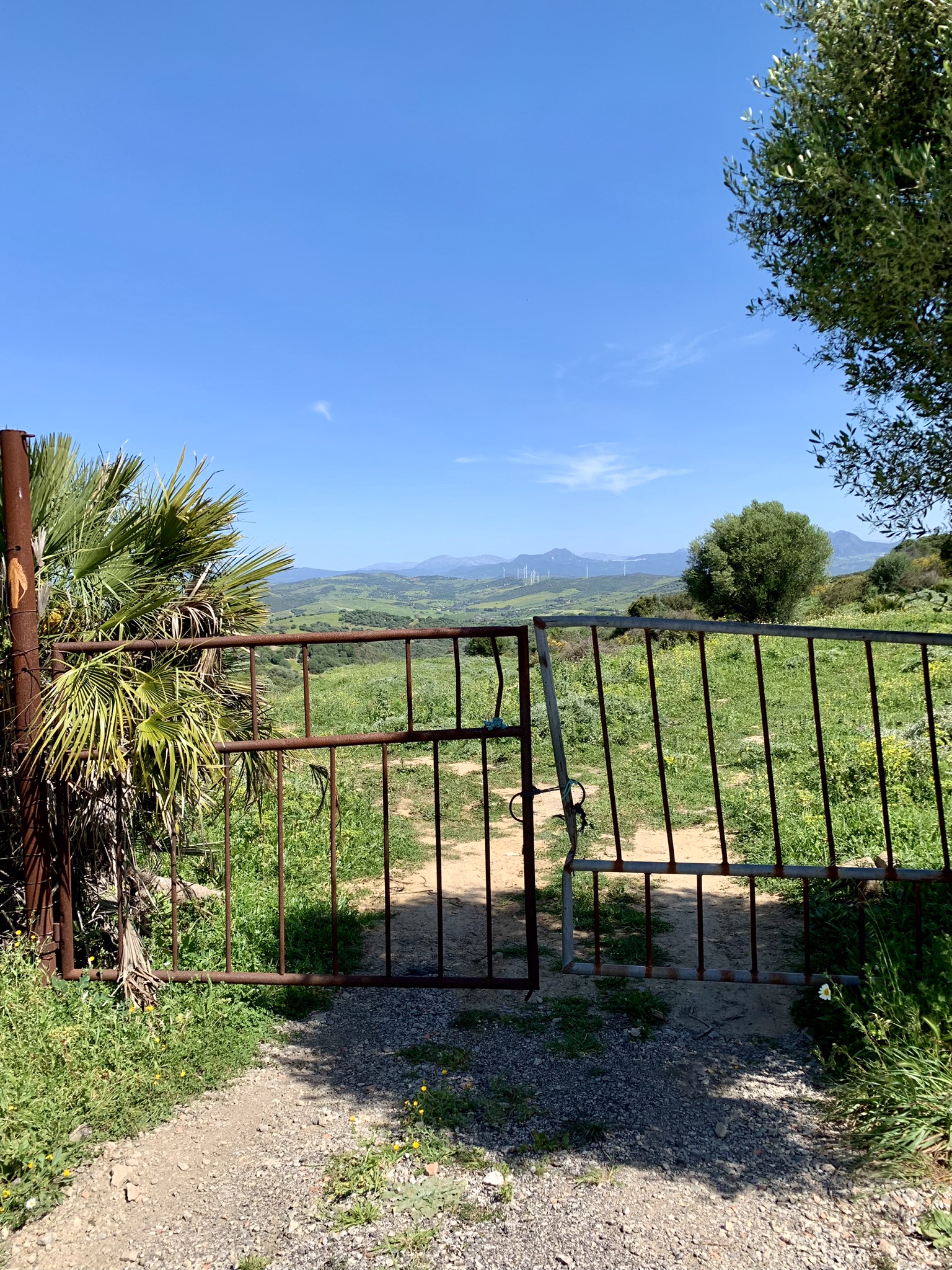 A closed metal gate across the path on the Via Serrana with a yellow arrow painted on the gate post