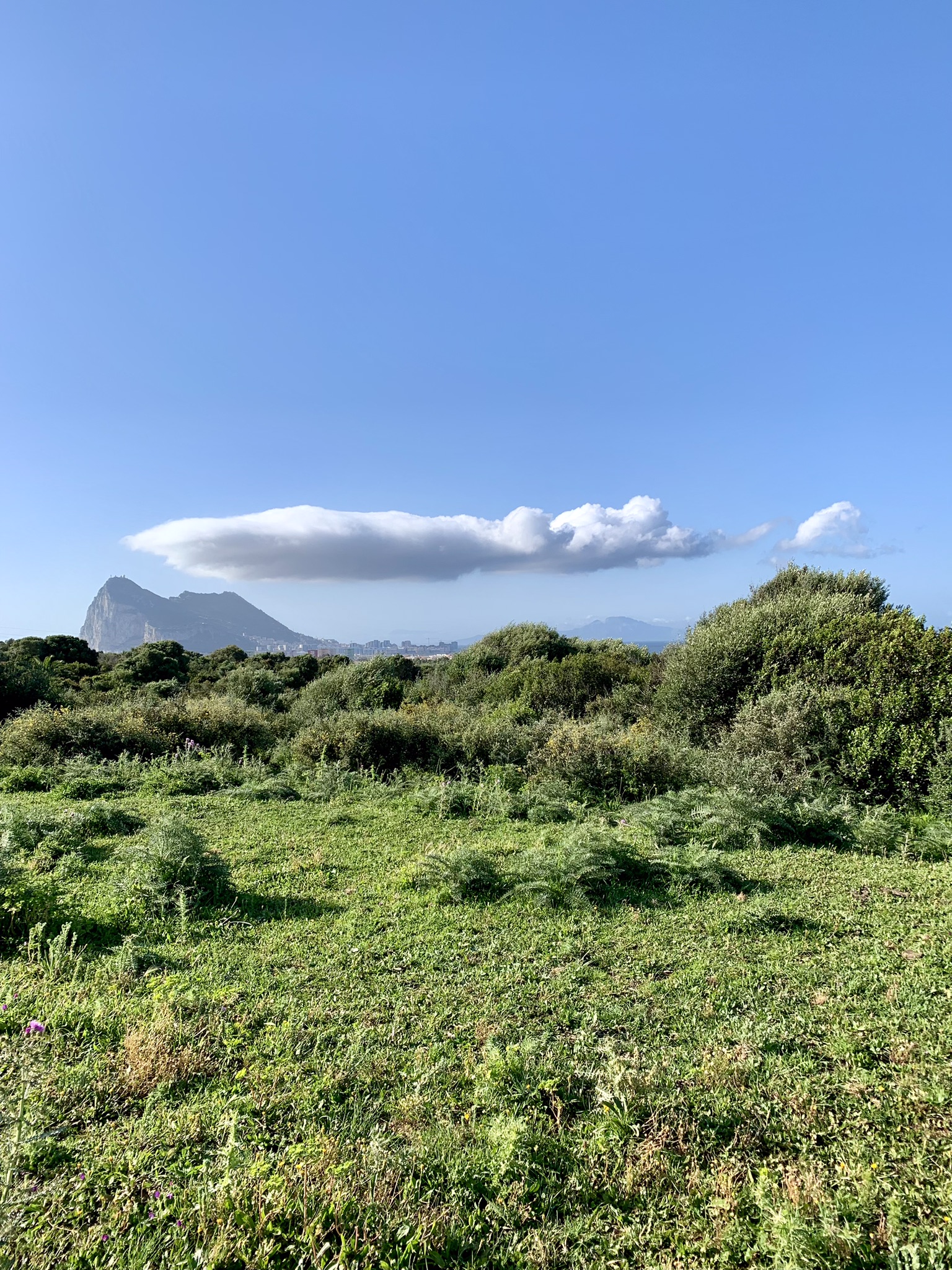 A view of the rock of Gibraltar with Jebel Musa in Morocco in the background taken from the Via Serrana