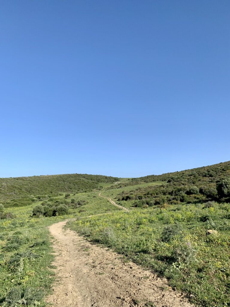 A long and winding dirt path on the Via Serrana towards San Roque