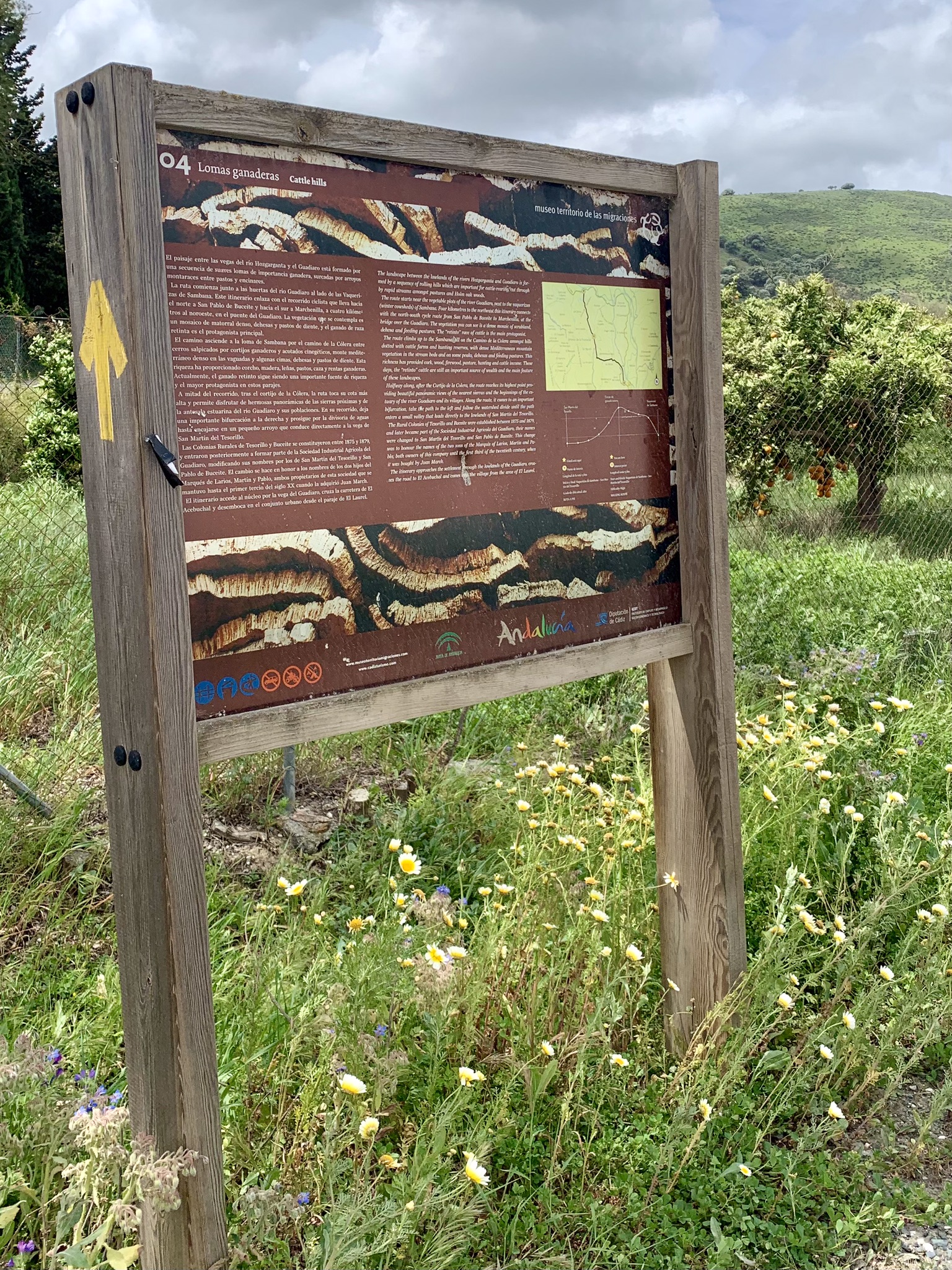 A yellow arrow painted on the side of an information board on the Via Serrana between San Martin del Tesorillo and Jimena de la Frontera