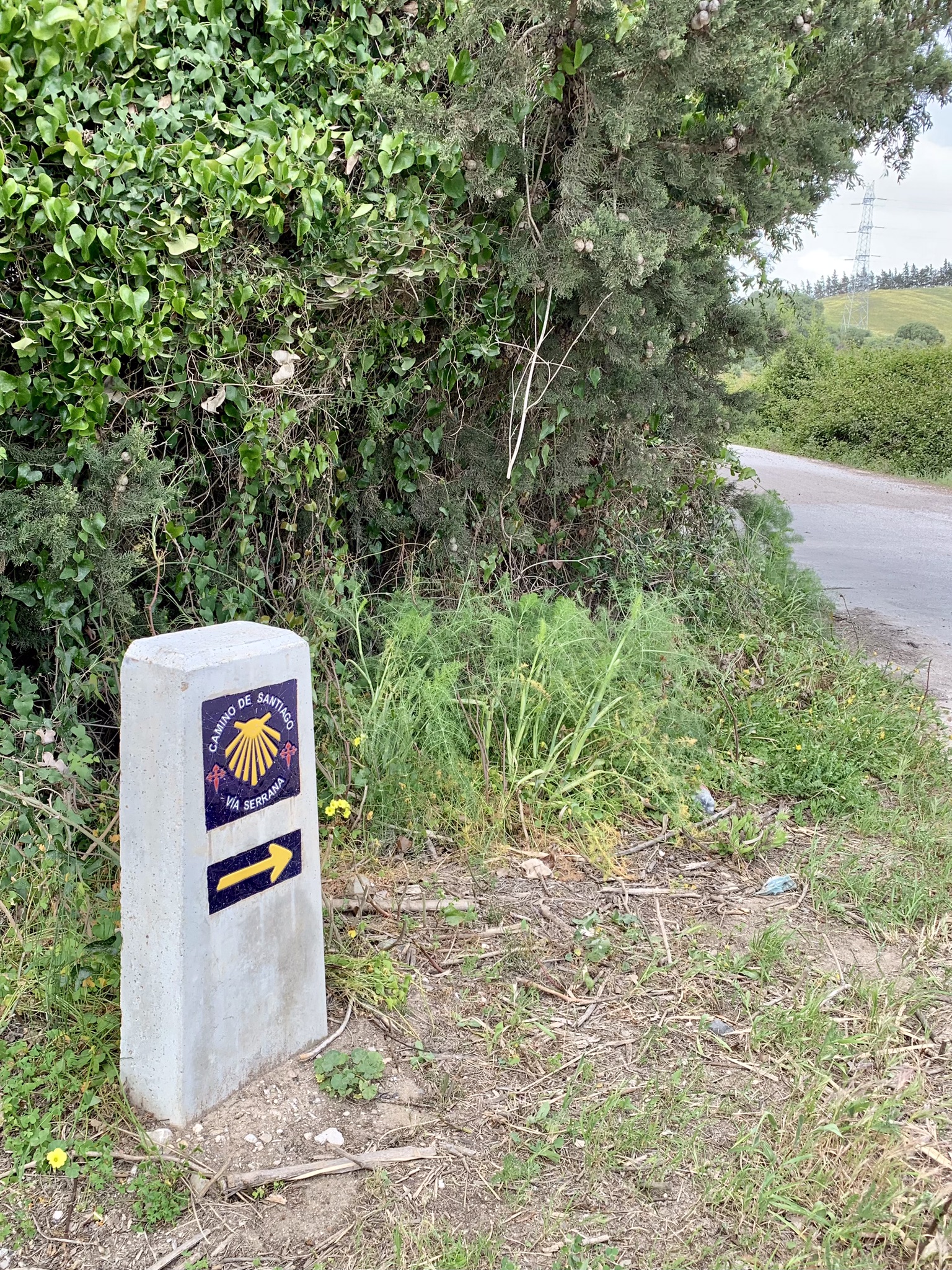 A waymarker on the Via Serrana between San Martin del Tesorillo and Jimena de la Frontera