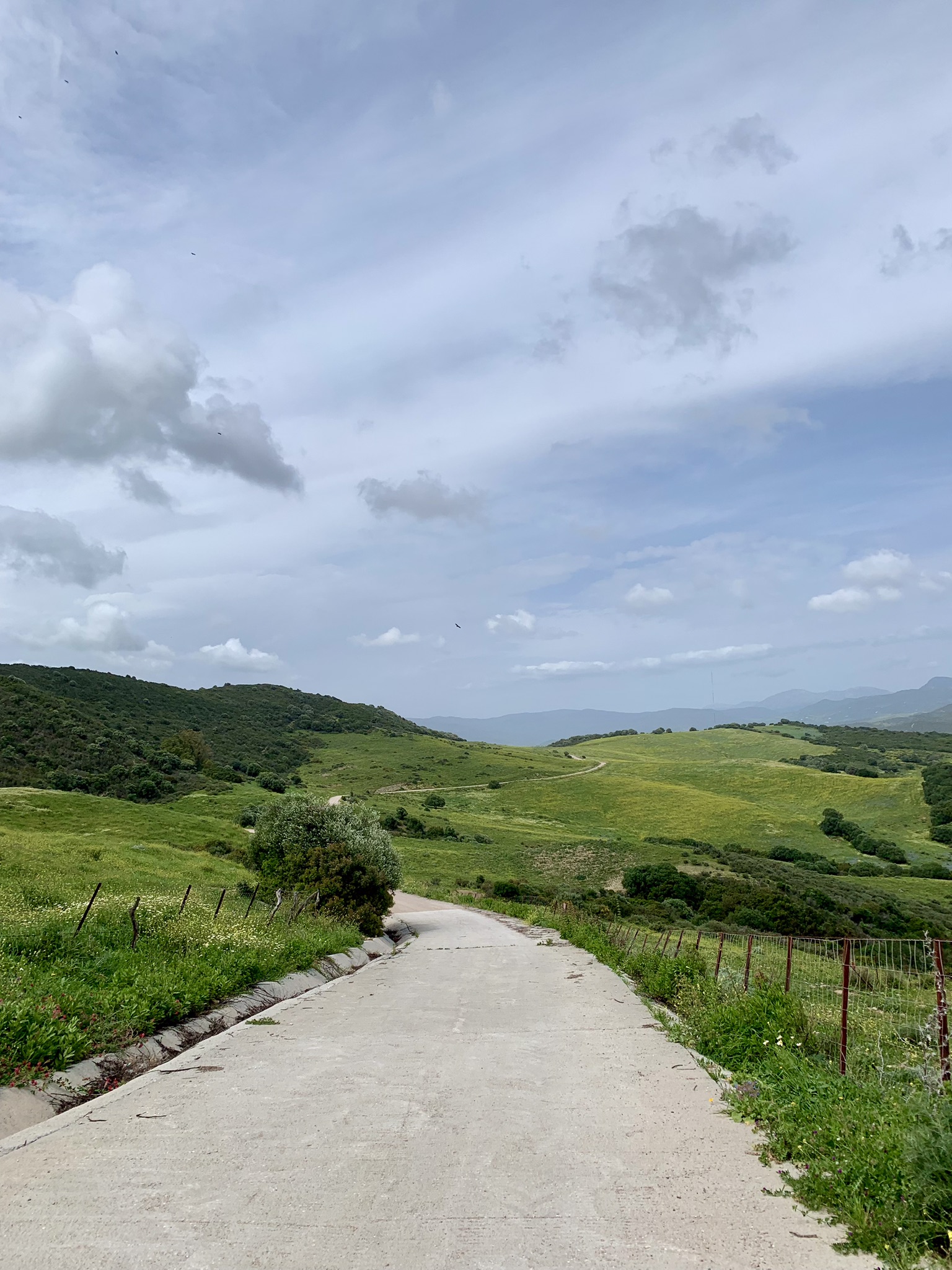 Walking downhill on stage two of the Via Serrana between San Martin del Tesorillo and Jimena de la Frontera