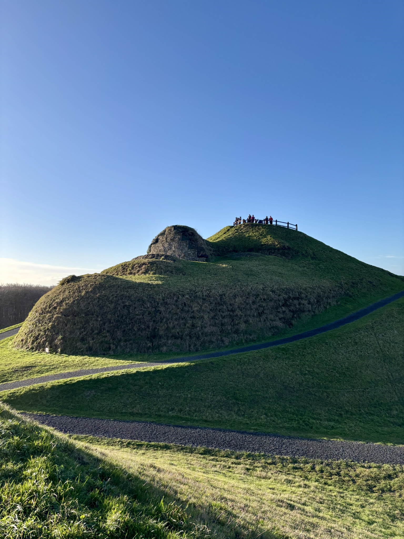 The face and head of Northumberlandia