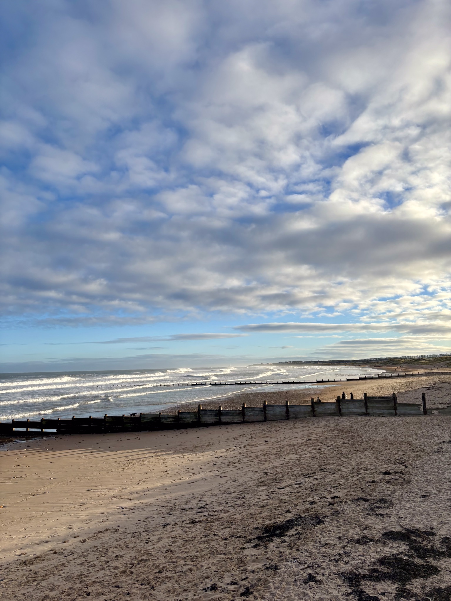 A view of Blyth beach stretching towards Seaton Sluice in Northumberland