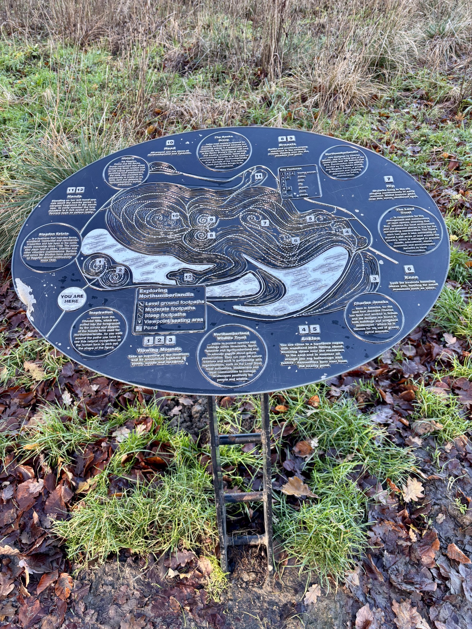 A plaque highlighting each section of Northumberlandia