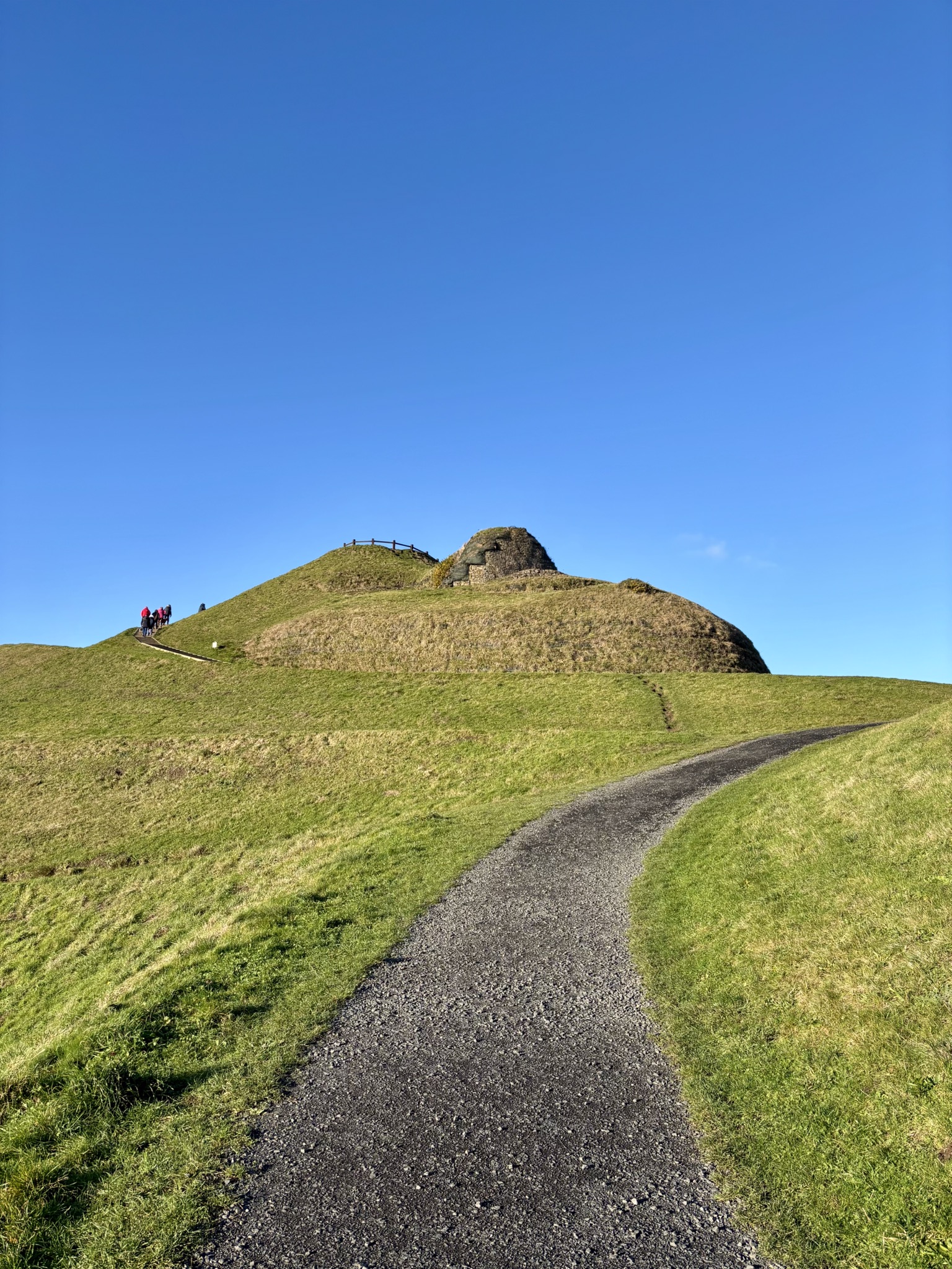 The face and head of Northumberlandia