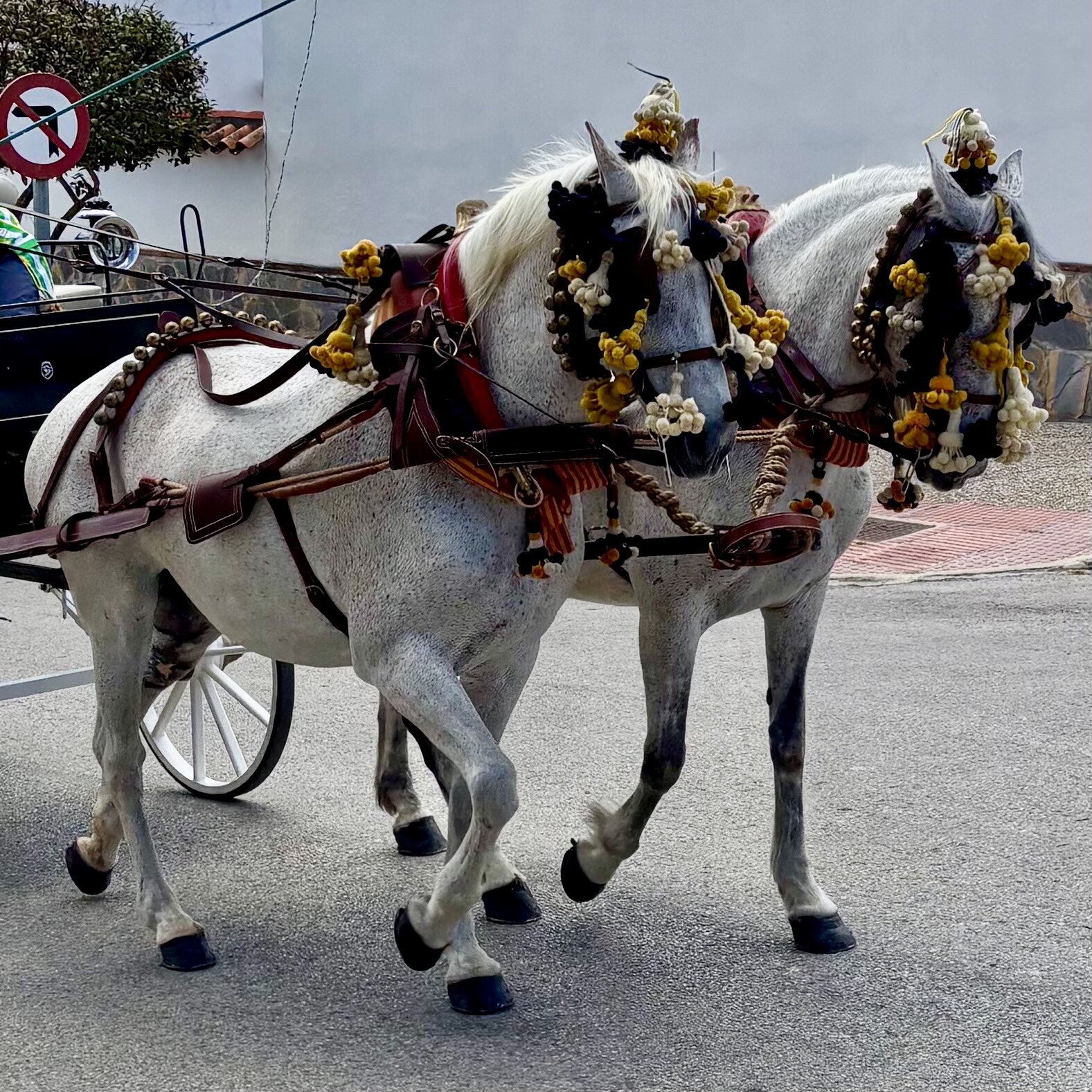 White horses wearing bridles decorated with coloured flowers