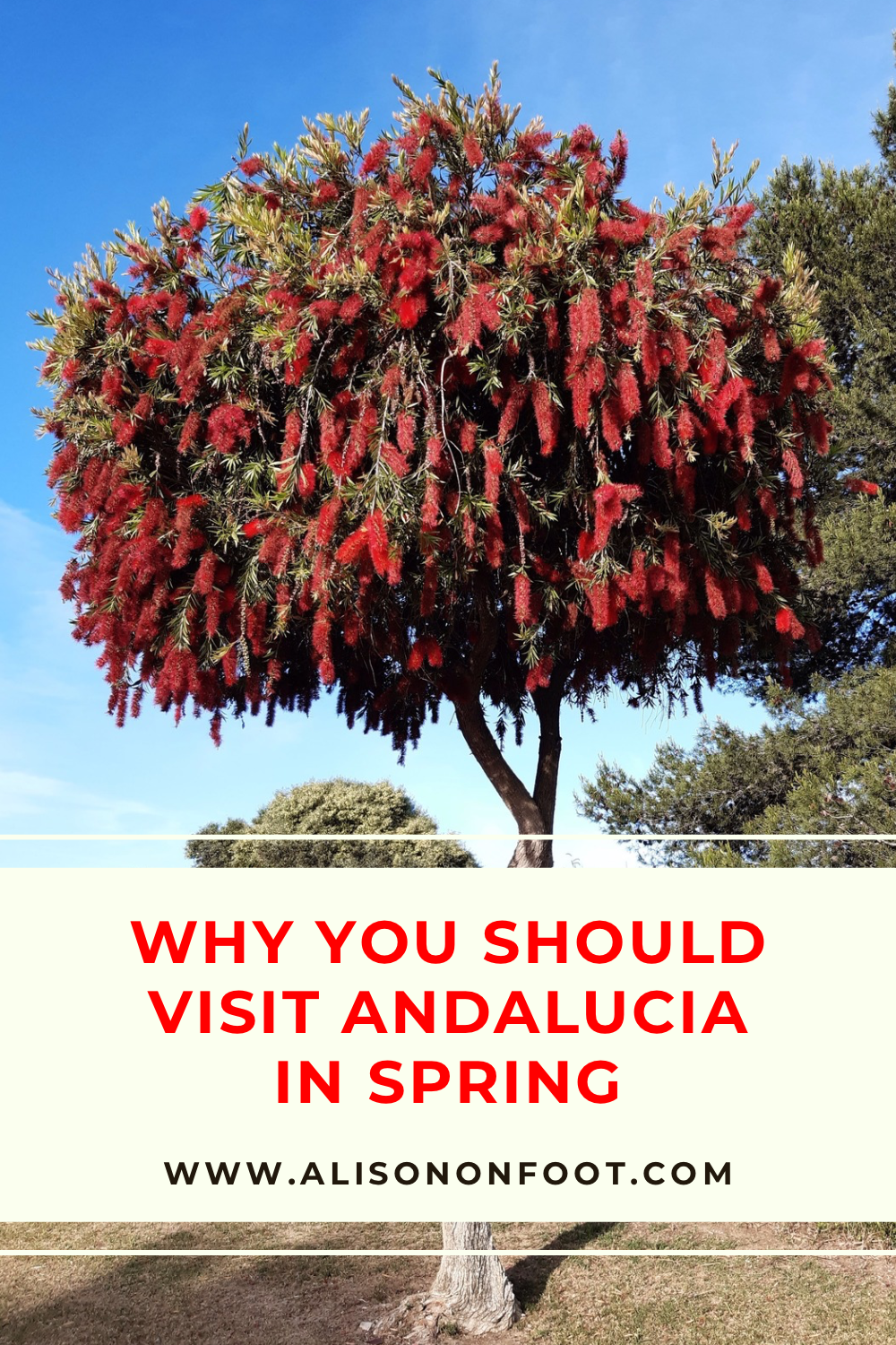 Discover all the reasons why you should visit Andalucia in spring