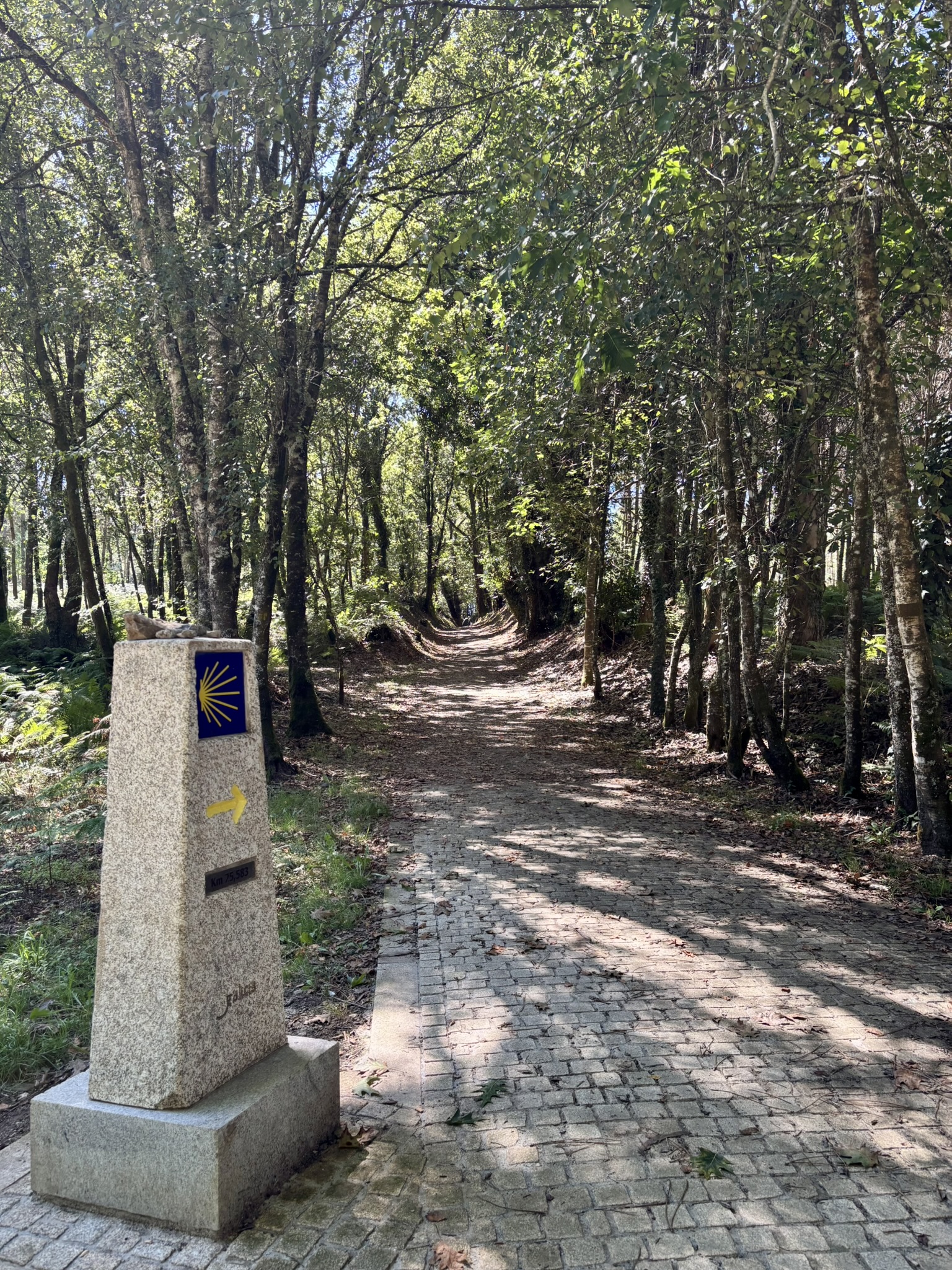A camino way marker next to a cobbled path on the edge of a forest on the Camino Inglés
